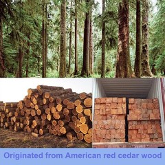 Brite Lightingtech Cedar Balls for Clothes Storages, 100pc Red 100 Count