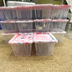 15 Lowe’s Mini Clear Plastic Stackable Storage Containers w/ Lids