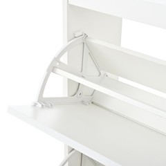 Shoe Cabinet with 3 Hidden Flip Drawers & 2 Storage drawer