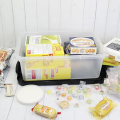 14 Quart Latching Storage Bins with Lids – 2 Pack Organizing Boxes