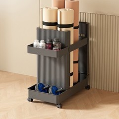 Gray ABS Workout Equipment Storage Rack Cart with Wheels 50×26×50cm