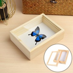 Beige Insect Specimen Box Wood Rectangular Students 1Pack 7.1*5.3*2.2in