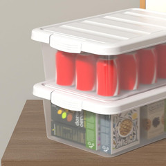 2-Pack 14 Qt Clear Storage Bins with Lids – Stackable Heavy-Duty Organizers
