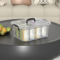 Clear 8L Plastic Storage Box with Handle – 2-Pack Containers with Lids