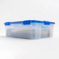 Clear Plastic Storage Box with Blue Lid 41 Quart WeatherPro Tote Container
