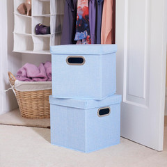Café Cube Bin Storage Set with Lids & Handles – 2 Pack, Baby Blue Linen