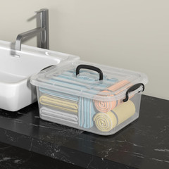 Clear 8L Plastic Storage Box with Handle – 2-Pack Containers with Lids