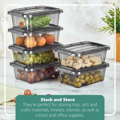 Mini Storage Bins with Lids – 1.25 Quart, Set of 6, Tinted, Made in EU
