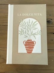 Secret Storage Book, La Dolce Vita, Purchased in Nice, France, Faux Leather