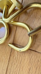 West Elm Matte Gold Metal Traditional S Hooks Hanging Hooks Set of 12