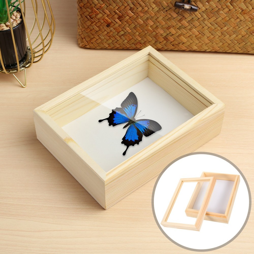 Beige Wood Specimen Box Insect Specimen Storage 1Pack 7.1*5.3*2.2in