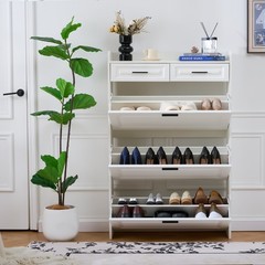 Shoe Cabinet with 3 Hidden Flip Drawers & 2 Storage drawer