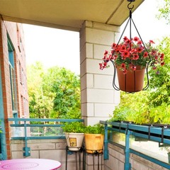 1Set Black Plant Hanger Hook for Home Use Easy Install on Wood Brick Or Concrete