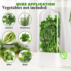Sealed Spacious Food-Grade Breathable Moisture-Proof Vegetable Fresh Storage Box