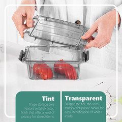 Mini Storage Bins with Lids – 1.25 Quart, Set of 6, Tinted, Made in EU