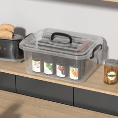 Clear 8L Plastic Storage Box with Handle – 2-Pack Containers with Lids