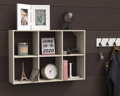 ClosetMaid 5430 Mini 6-Cube Desktop or Wall Mount Organizer, Bleached Walnut