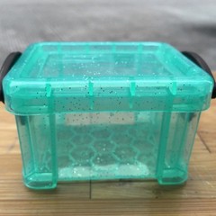 Mini Clear Plastic Storage Box with Locking Lid Portable Jewelry Container Case
