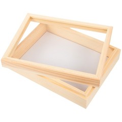 Insect Specimen Box Beige Plastic Rectangular Scientists 1Pack 7.1*5.3*2.2in