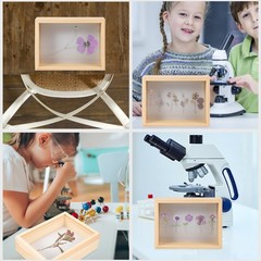Insect Specimen Box Beige Plastic Rectangular Scientists 1Pack 7.1*5.3*2.2in