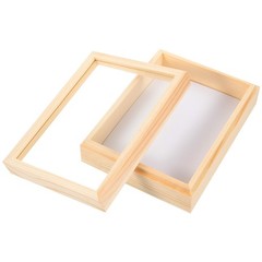 Insect Specimen Box Beige Plastic Rectangular Scientists 1Pack 7.1*5.3*2.2in