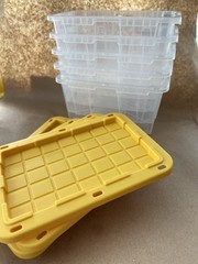 Set of Clear Lowes Mini Totes With Yellow Lids – 5 Pieces