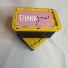 Lowe’s Teeny Tote Mini Storage Container Lowes – Viral On Tiktok – SHIPS FAST