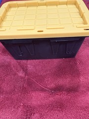 Lowe’s Teeny Tote Storage Container 4.8 x 3.3 x 2.4 Black Yellow .38 quart viral