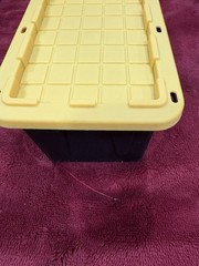 Lowe’s Teeny Tote Storage Container 4.8 x 3.3 x 2.4 Black Yellow .38 quart viral