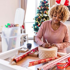 Rubbermaid Container Wrapping Paper Organizer W/ Top Ornament Storage, Clear