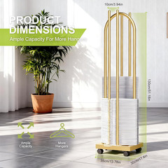Gold 2-in-1 Hanger Organizer with Lockable Casters – 51 Inch Storage Stand