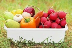 5-Pack Commercial Bus Tubs Box/Tote Box, White Plastic Storage Bin with Handl…