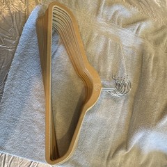 12 Velvet Traditional Non-Slip Clothes Hanger w/ Metal Hook Beige 18x10in