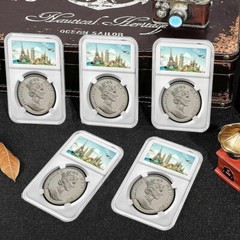 Lot Coin Slab Display Holder Storage 40.6 mm AMERICAN SILVER EAGLE Coin 10-100X