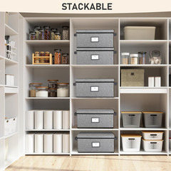Stackable Platter Storage Case, Hard Shell Plate Containers with Dividers, 2-Pac