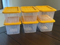 6 PACK Clear Lowes Teeny Tiny Tote Bins Mini Commander Storage Container