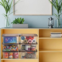 Nicunom 8 Packs Small Storage Bins with Lids, 9.1″L x 6.7″ W x 4.1″ H, Clear