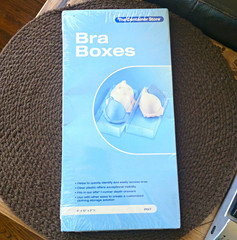 The Container Store Blue Lidded Bra Storage Box 12x5x6 in Rectangle