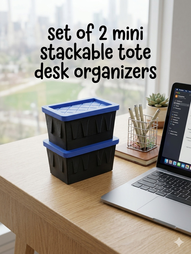 Lowe’s Teeny Tiny Tote Mini Storage Container With Lids SET OF 2 Lowes Viral NEW