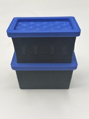 Lowe’s Teeny Tiny Tote Mini Storage Container With Lids SET OF 2 Lowes Viral NEW