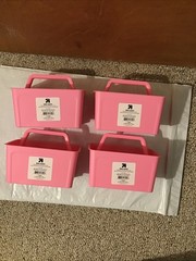 Set Of 4 Mini Organizing Caddies