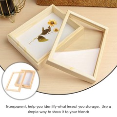 Beige Insect Specimen Box Wood Rectangular Students 1Pack 7.1*5.3*2.2in